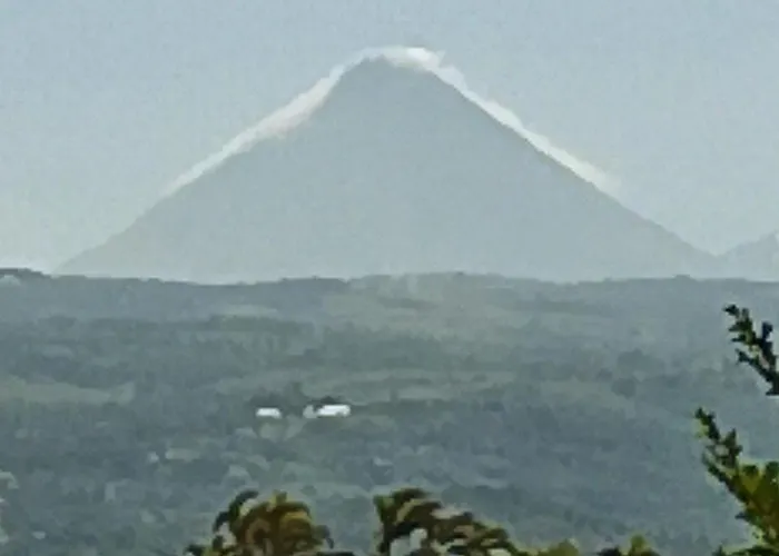 Simone Arenal French